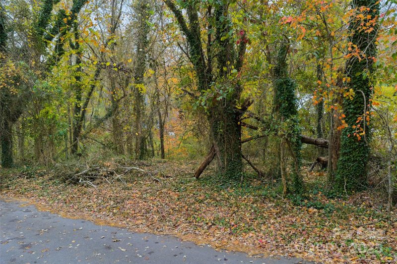 Property image 4 of 97 Old Haw Creek Road in Haw Creek, Asheville, NC 28805
