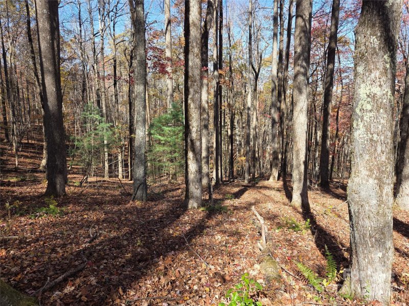 Property image 2 of Lot 342 A Severy Lane in Happy Acres, Brevard, NC 28712
