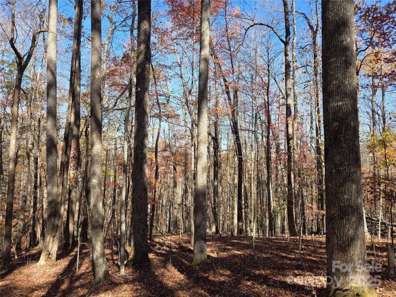 Property image 3 of Lot 342 A Severy Lane in Happy Acres, Brevard, NC 28712