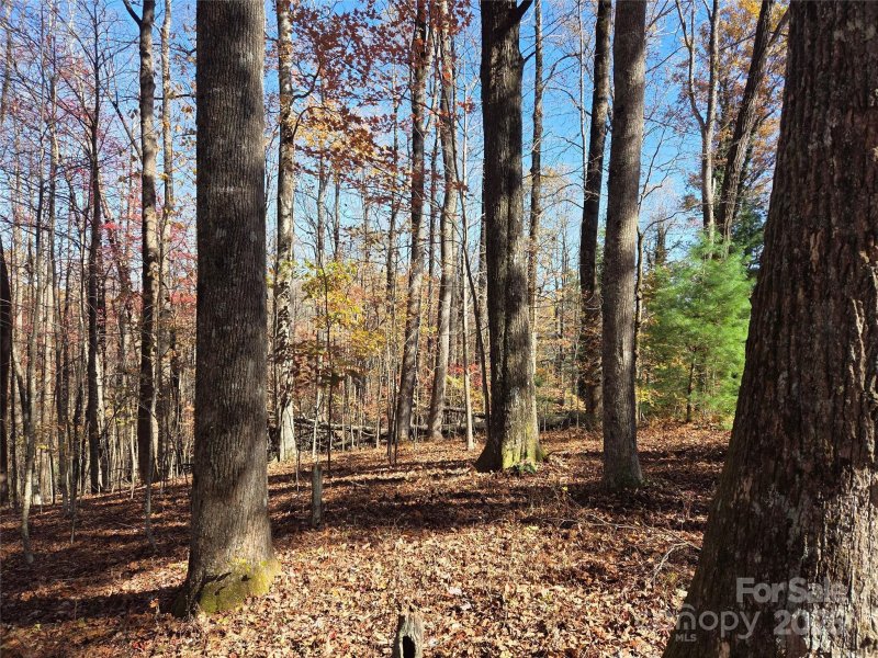 Property image 4 of Lot 342 A Severy Lane in Happy Acres, Brevard, NC 28712