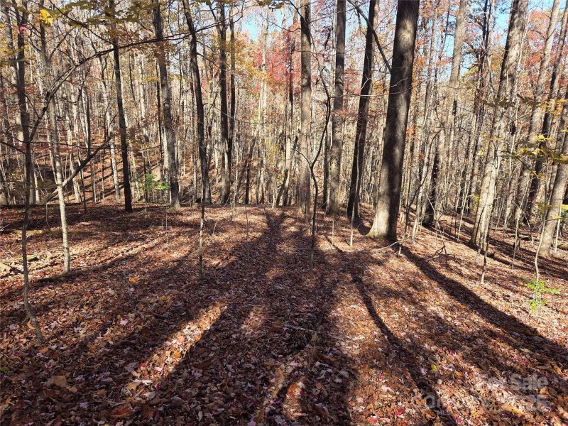 Property image 5 of Lot 342 A Severy Lane in Happy Acres, Brevard, NC 28712