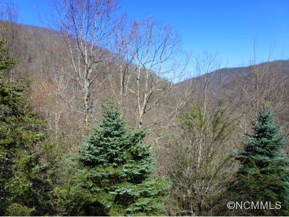Property image 4 at 186 Hidden Cove Road, Maggie Valley, NC 28751