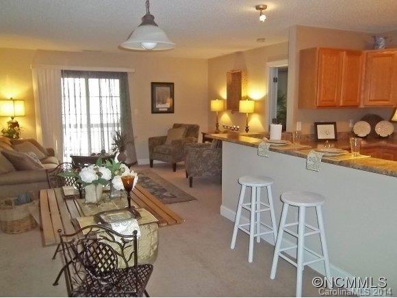 Property image 2 at 234 E Wash Creek Drive, Hendersonville, NC 28739