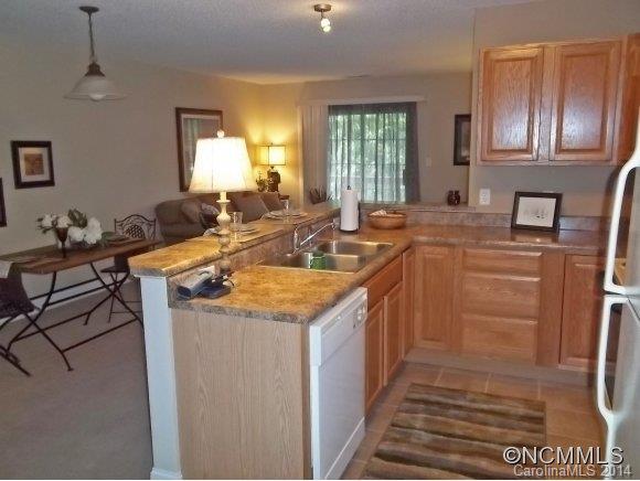 Property image 4 at 234 E Wash Creek Drive, Hendersonville, NC 28739