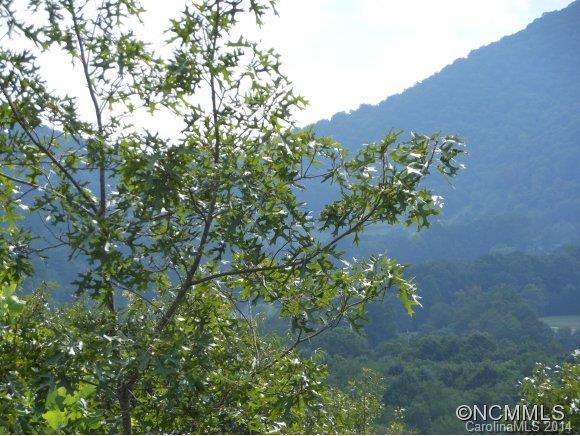 Property image 4 at 89 Ruffed Grouse, Waynesville, NC 28786