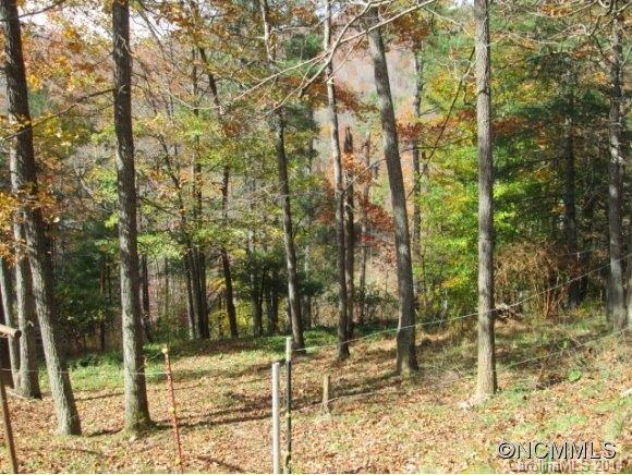 Property image 5 at 285 Wispy Willow Rd, Waynesville, NC 28785