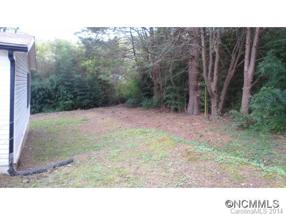 Property image 4 at 339 Turkey Pen Gap Road, Horse Shoe, NC 28742