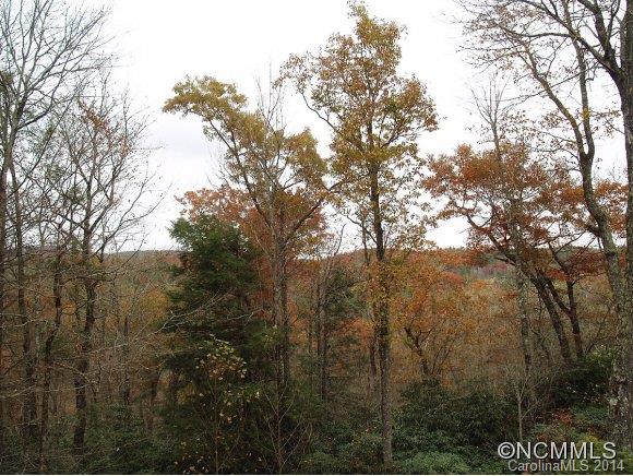 Property image 5 at 183 Wildwood Way, Lake Toxaway, NC 28747