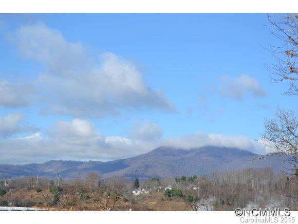 Property image 5 at 17 Boxwood Terace, Canton, NC 28716