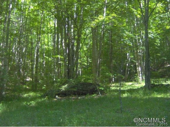 Property image 3 at 175 Kingfisher Lane, Burnsville, NC 28714