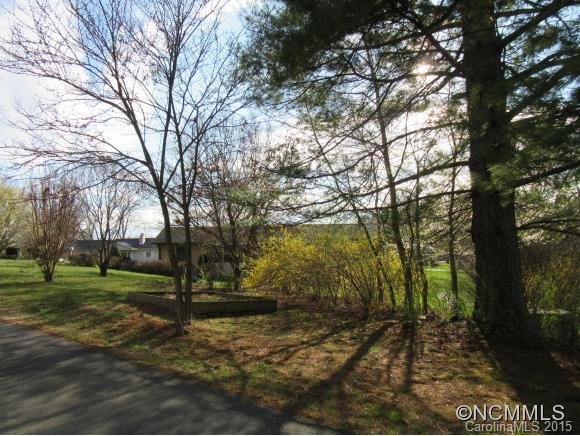 Property image 5 at 20 Stoney Nob Drive, Hendersonville, NC 28792