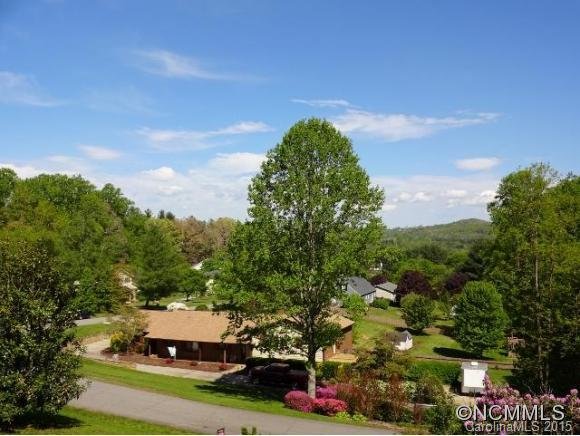 Property image 2 at 55 Oakwood Drive, Horse Shoe, NC 28742