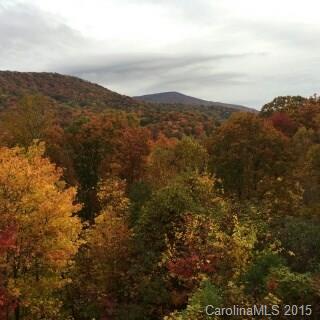 Property image 3 at 300 Buck Drive, Hot Springs, NC 28743