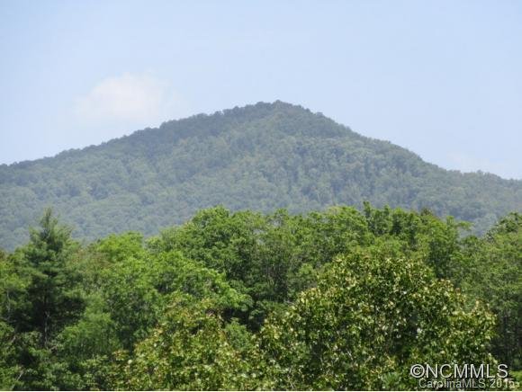 Property image 3 at 458 Thomas Ridge Loop, Green Mountain, NC 28740