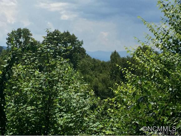 Property image 2 at 626 Quail Cove Rd, Clyde, NC 28721