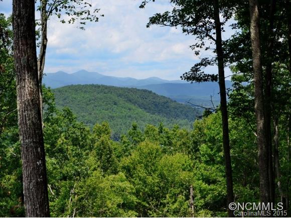 Property image 2 at 1547 Hickory Wood Trail, Hendersonville, NC 28739