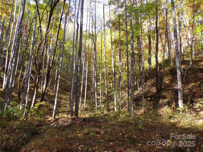 Property image 2 of 0 High Windy Drive in Grey Rock at Lake Lure, Lake Lure, NC 28746