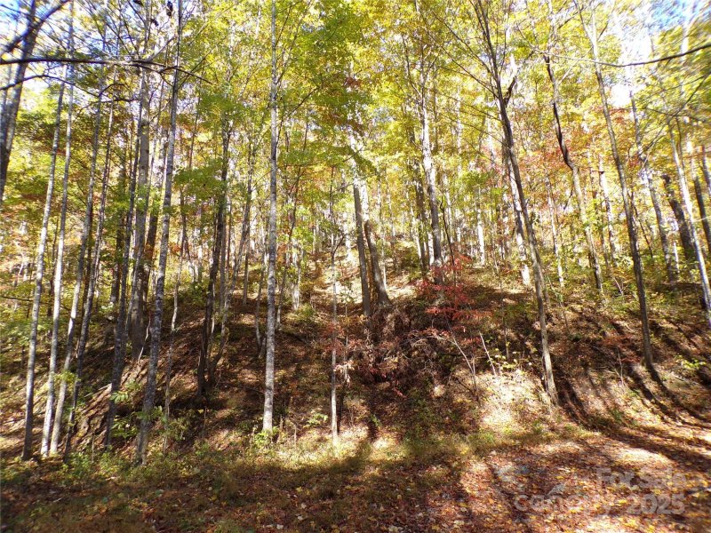 Property image 4 of 0 High Windy Drive in Grey Rock at Lake Lure, Lake Lure, NC 28746
