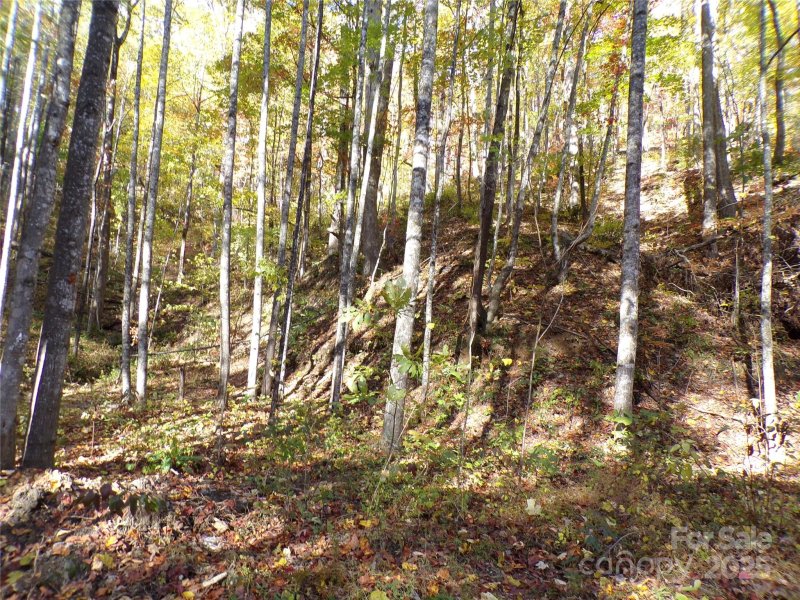 Property image 5 of 0 High Windy Drive in Grey Rock at Lake Lure, Lake Lure, NC 28746