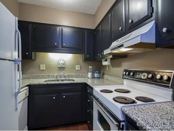 Property image 4 at 427 Sixth Avenue West B 1, Hendersonville, NC 28791