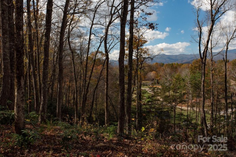 Property image 2 of 154 South Slope Lane in Jacks Mountain Preserve, Old Fort, NC 74848