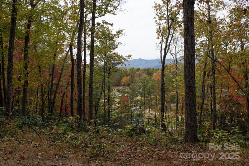 Property image 3 of 154 South Slope Lane in Jacks Mountain Preserve, Old Fort, NC 74848