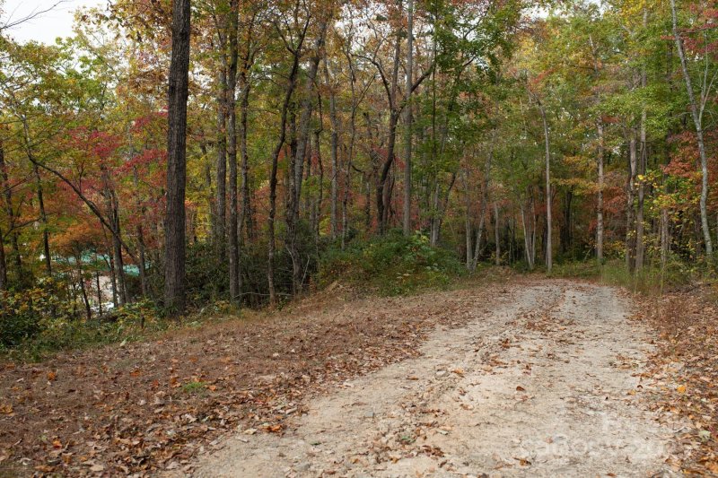 Property image 4 of 154 South Slope Lane in Jacks Mountain Preserve, Old Fort, NC 74848