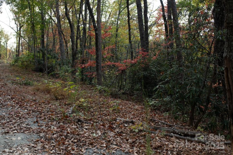 Property image 5 of 154 South Slope Lane in Jacks Mountain Preserve, Old Fort, NC 74848