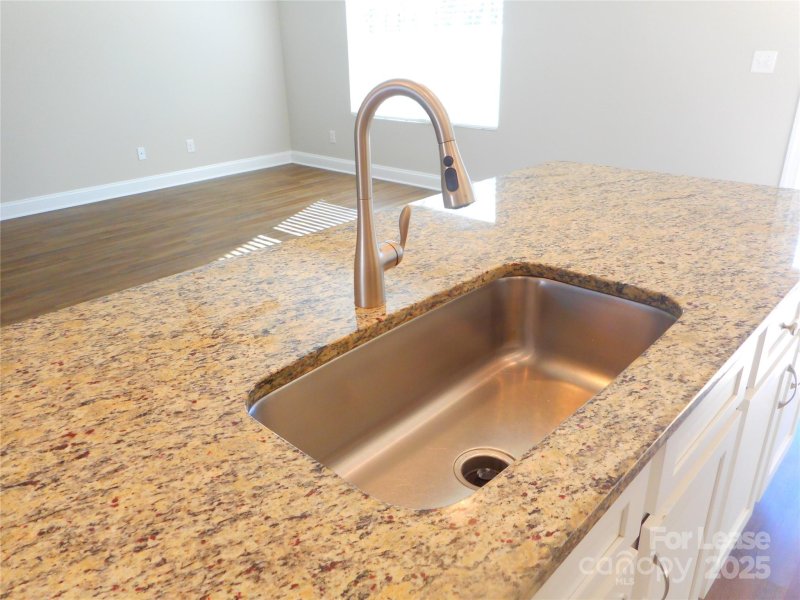 Property image 5 at 1163 Pecan Ridge Road, Fort Mill, SC 29715