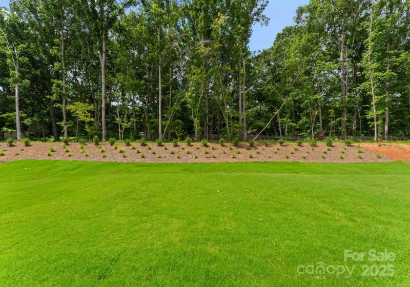 Property image 5 of 2007 Kendall Drive in The Bluffs at Wesley Chapel, Wesley Chapel, NC 28173