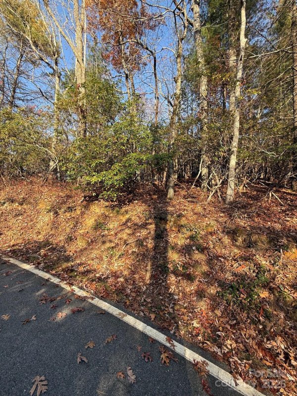 Property image 2 at 377 Tsisqua Circle, Brevard, NC 28712