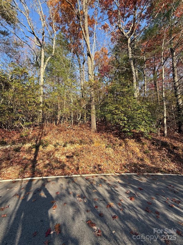 Property image 3 at 377 Tsisqua Circle, Brevard, NC 28712