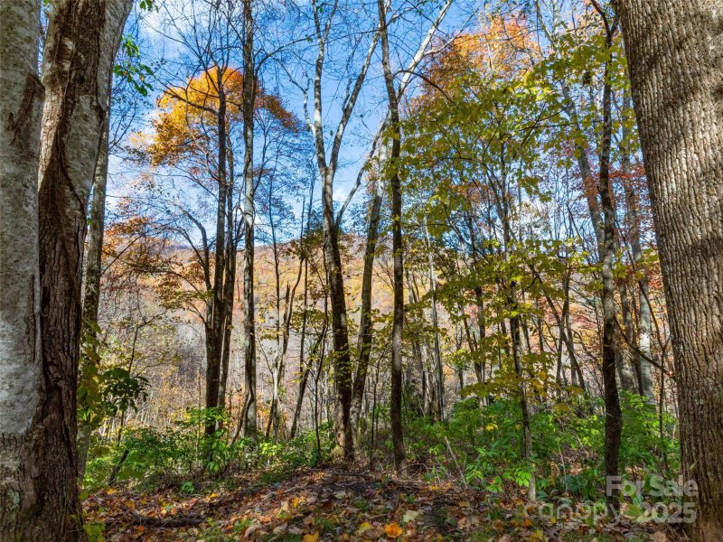 Property image 2 of 00 Village Lane in Villages Of Plott Creek, Waynesville, NC 28786