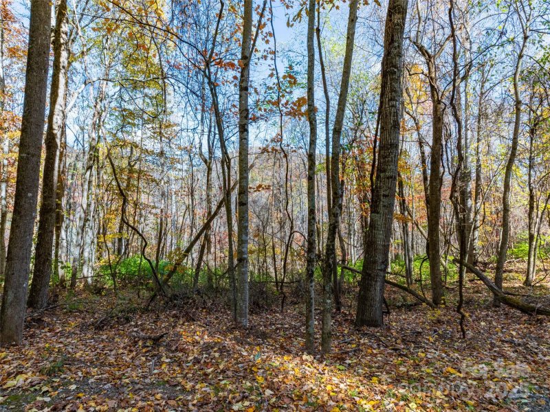 Property image 3 of 00 Village Lane in Villages Of Plott Creek, Waynesville, NC 28786