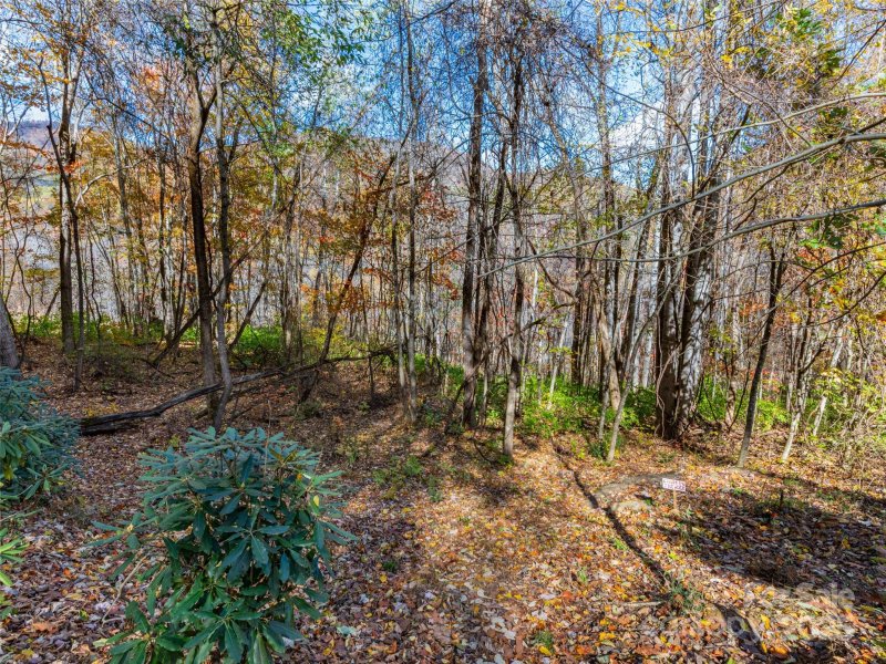 Property image 4 of 00 Village Lane in Villages Of Plott Creek, Waynesville, NC 28786