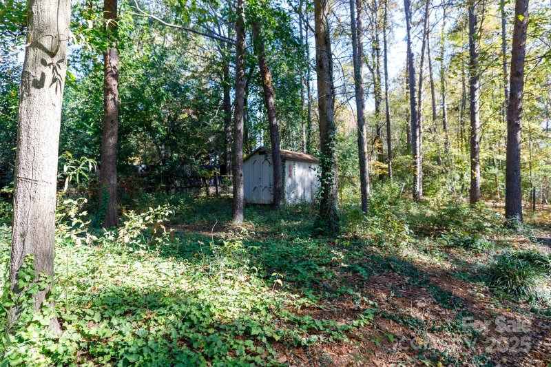 Property image 4 at 12206 Lullingstone Road, Pineville, NC 28134