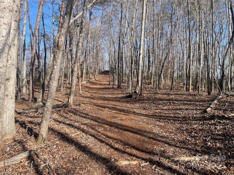 Property image 3 of Tbd S Cross Creek Trail in Mountain Laurel Estates, Mill Spring, NC 28756