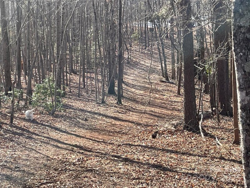 Property image 4 of Tbd S Cross Creek Trail in Mountain Laurel Estates, Mill Spring, NC 28756