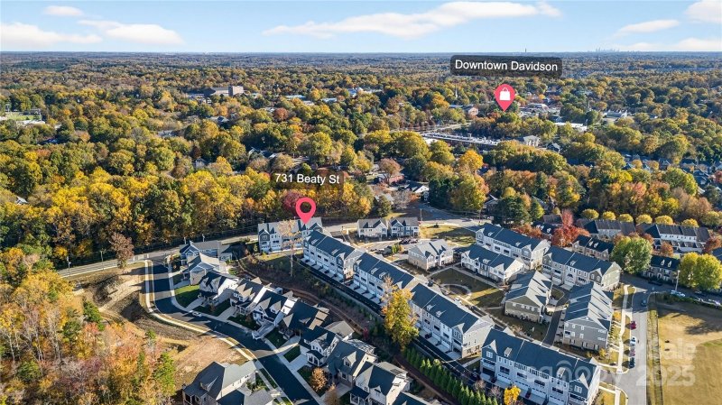 Davidson Walk, Davidson Community