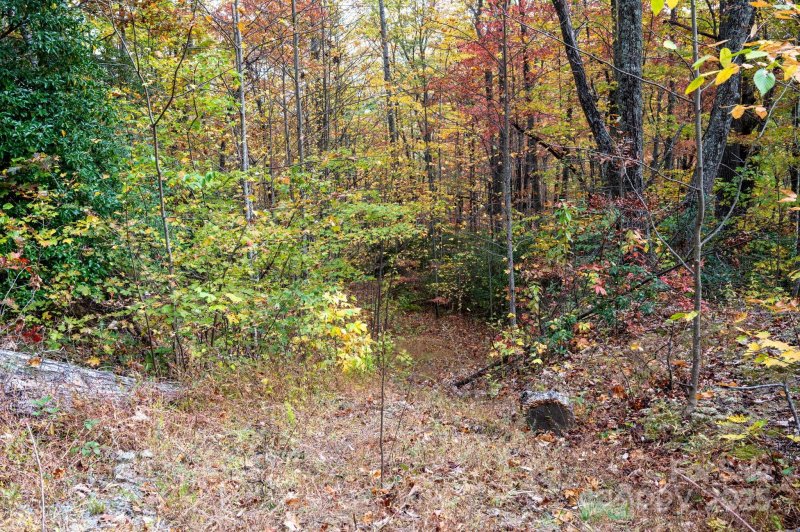 Idylwild, Black Mountain Community