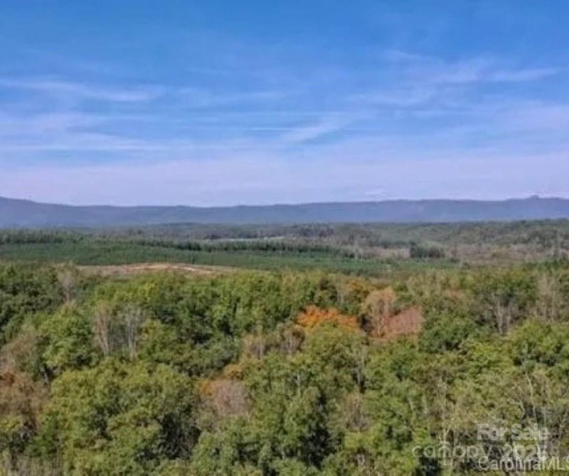 Property image 3 at 36 Everette Drive, Nebo, NC 28761