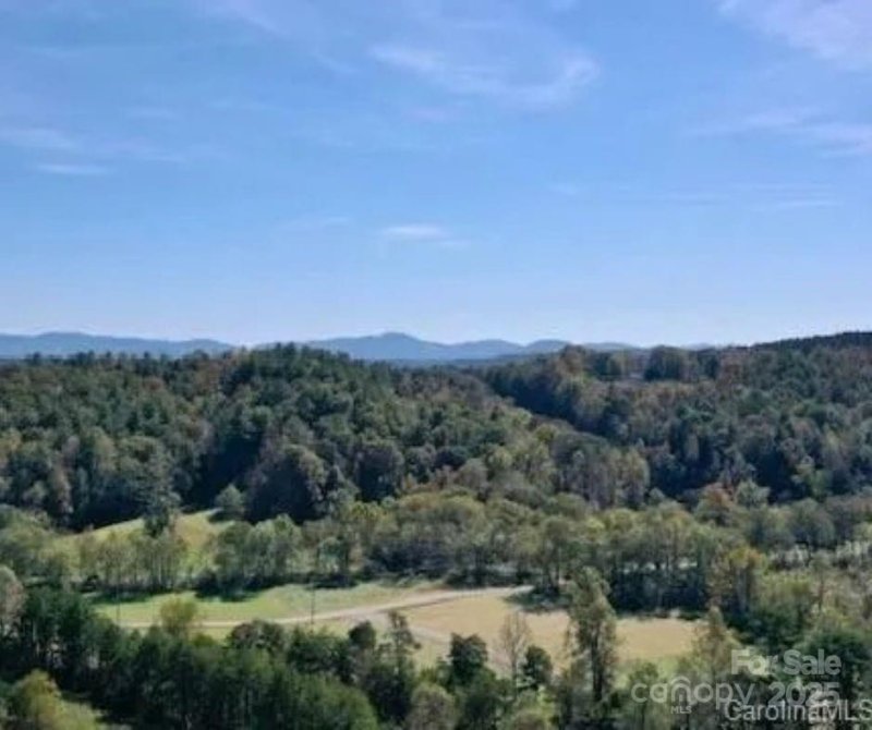 Property image 4 at 36 Everette Drive, Nebo, NC 28761