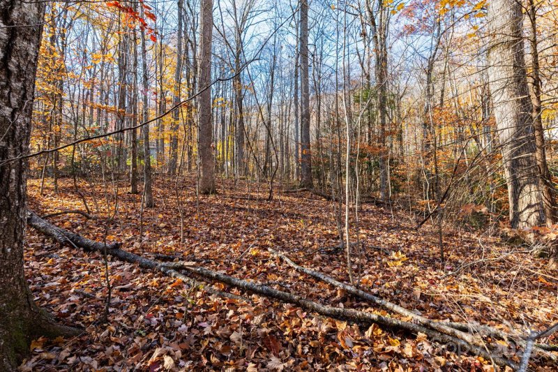 Property image 4 at Lot 60 Twinbrook Lane, Maggie Valley, NC 28751