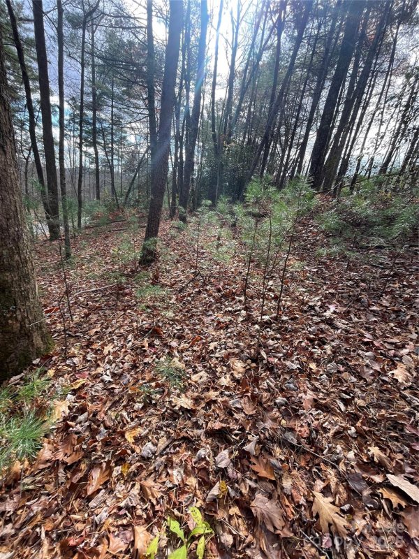 Property image 5 of 00 Pinnacle Falls Lane in Pinnacle Falls, Zirconia, NC 28790