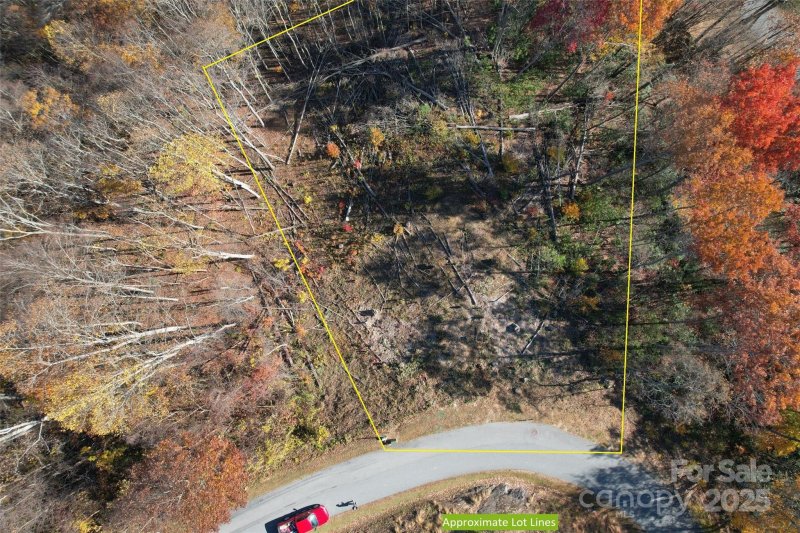 Mountain Watch, Waynesville Community