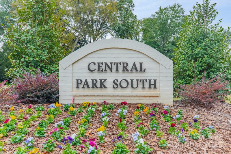 Central Park South, Belmont Community