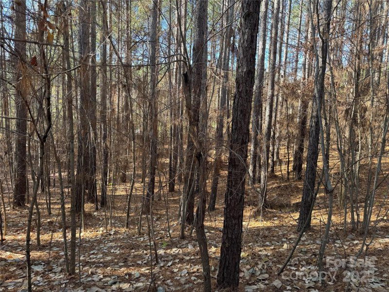 118 Cinder Ridge Court