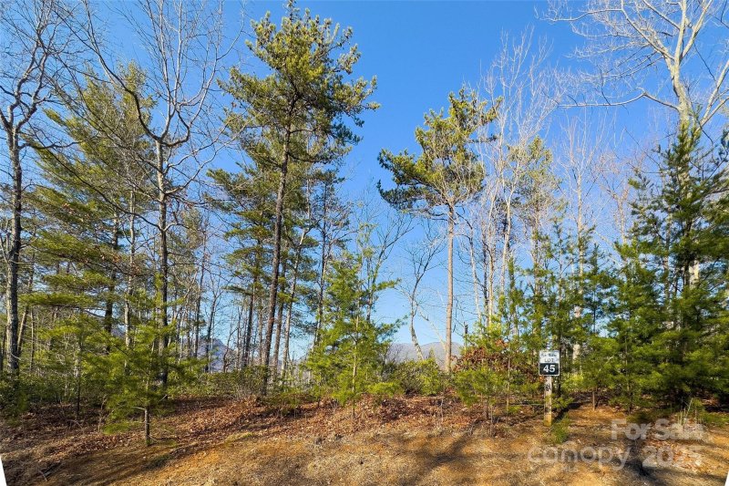 Lot 45 Fox Ridge Trail