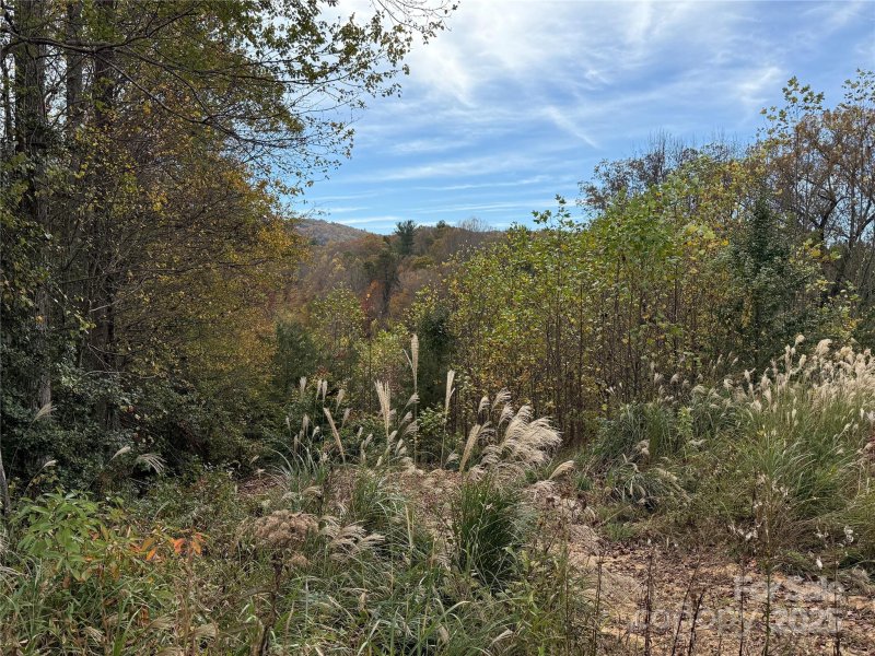 Lot 3 West Legacy Drive