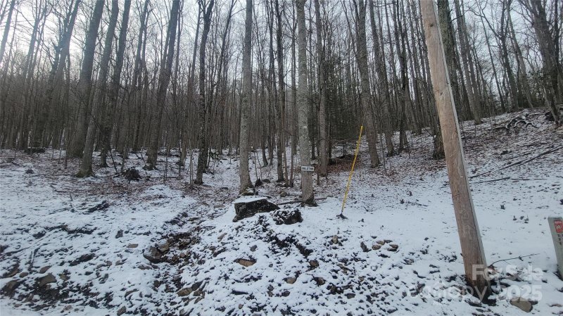 Lot 7b Hickory Springs Road